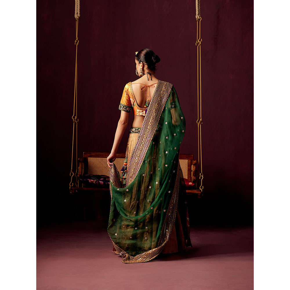 Pooja Singhal Tissue Lehenga With Blouse And Multicolor Organza Embroidered Dupatta (Set of 3)