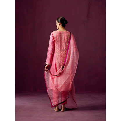 Pooja Singhal Hand Embroidered Print Silk Anarkali With Silk Pant & Organza Dupatta (Set of 3)