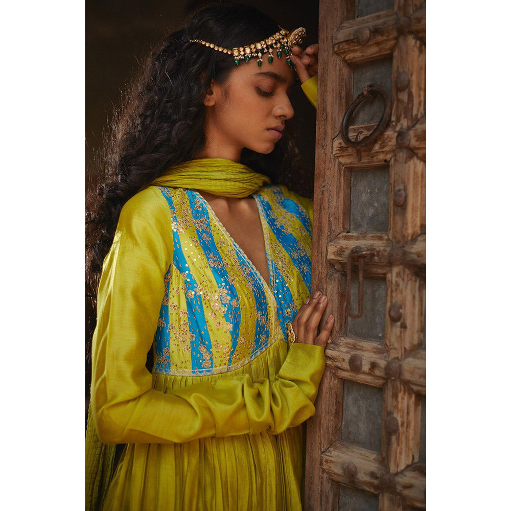 PRATIBHA SULTANIA Green Hand Embellished Anarkali Kurta with a Wrinkled Dupatta (Set of 2)