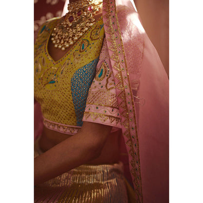 PRATIBHA SULTANIA Multi-Color Tafta Lehenga with Choli & Dupatta (Set of 3)