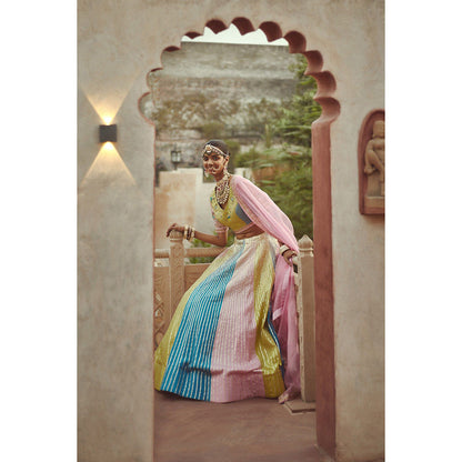 PRATIBHA SULTANIA Multi-Color Tafta Lehenga with Choli & Dupatta (Set of 3)