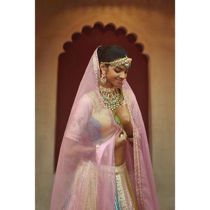 PRATIBHA SULTANIA Multi-Color Tafta Lehenga with Choli & Dupatta (Set of 3)