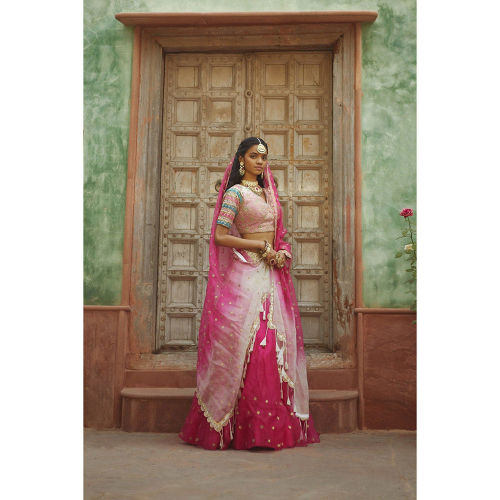 PRATIBHA SULTANIA Pink Lehenga with Striped Sleeves Choli & Dupatta (Set of 3)