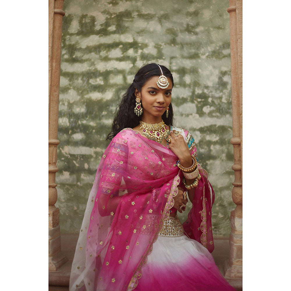 PRATIBHA SULTANIA Pink Lehenga with Striped Sleeves Choli & Dupatta (Set of 3)