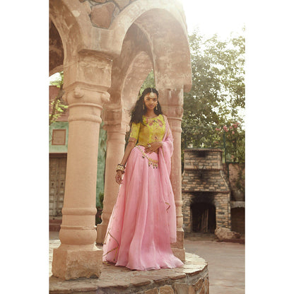 PRATIBHA SULTANIA Multi-Color Embellished Peacock Lehenga with Choli & Dupatta (Set of 3)