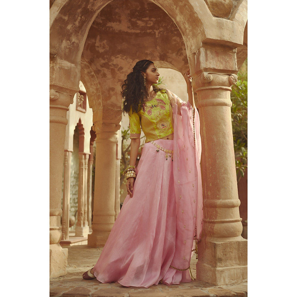 PRATIBHA SULTANIA Multi-Color Embellished Peacock Lehenga with Choli & Dupatta (Set of 3)