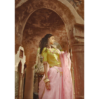 PRATIBHA SULTANIA Multi-Color Embellished Peacock Lehenga with Choli & Dupatta (Set of 3)