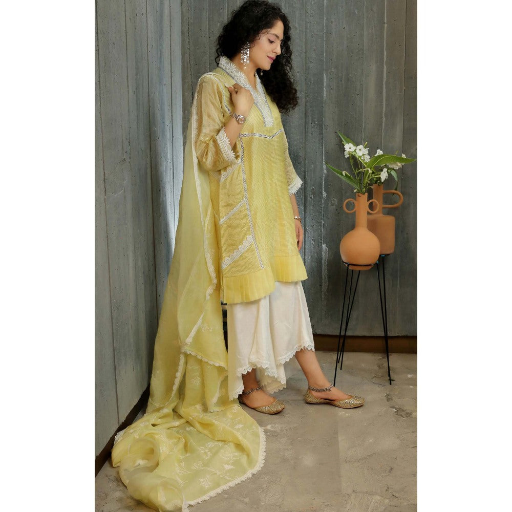 Pairaahan Zaira Kurta Salwar (Set of 3)