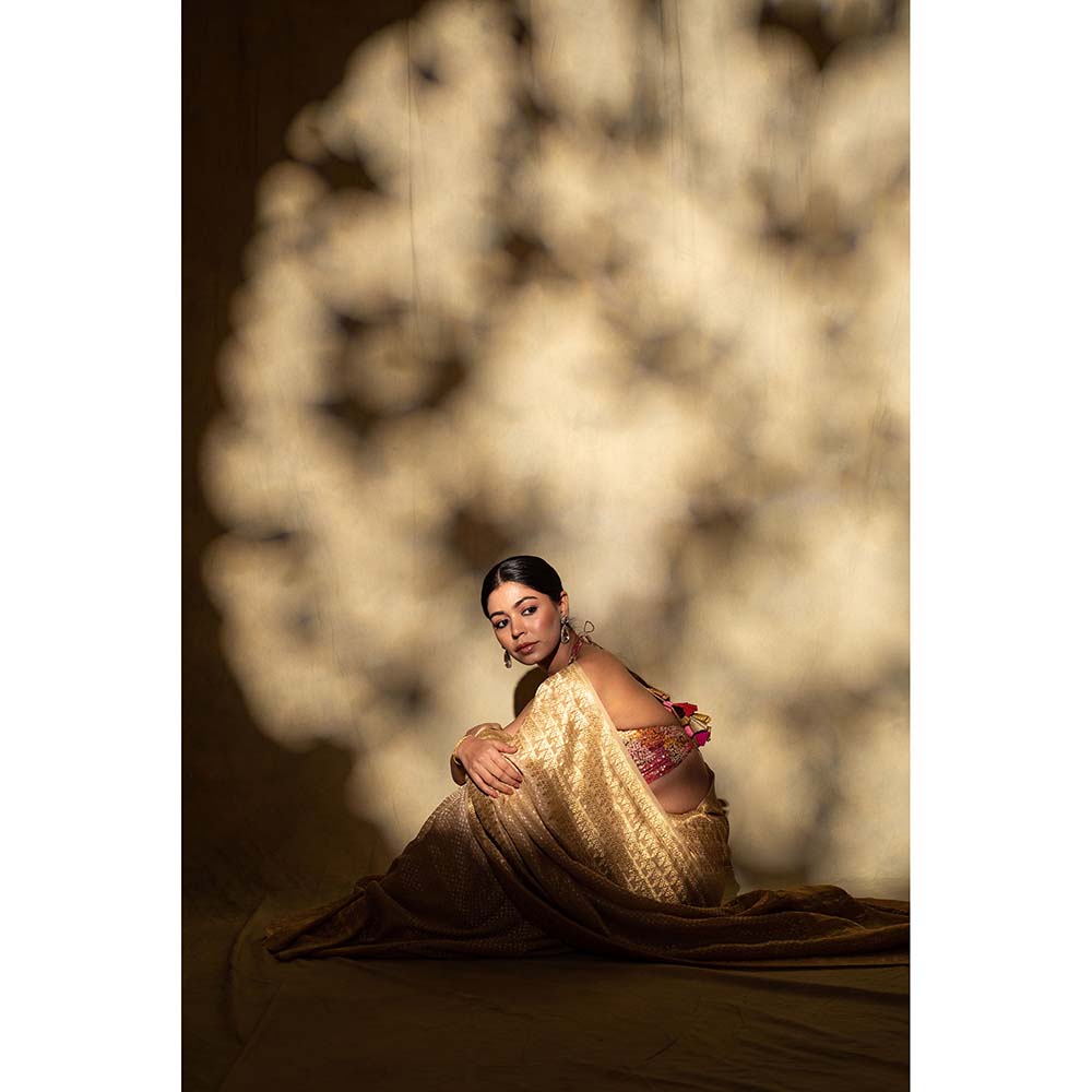 PRIYANKA RAAJIV Ganga Beige Silk Georgette Banarasi Saree with Unstitched Blouse