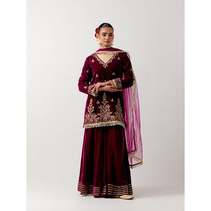 Priya Chaudhary Pink Silk Velvet Kurta With Sharara And Net Dupatta