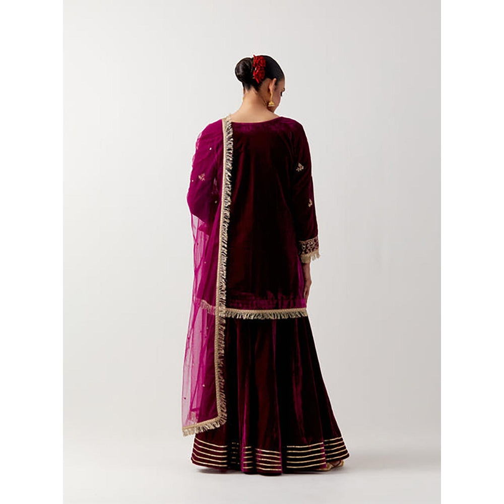 Priya Chaudhary Pink Silk Velvet Kurta With Sharara And Net Dupatta
