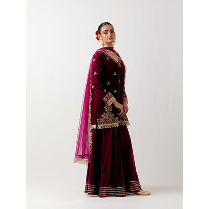 Priya Chaudhary Pink Silk Velvet Kurta With Sharara And Net Dupatta