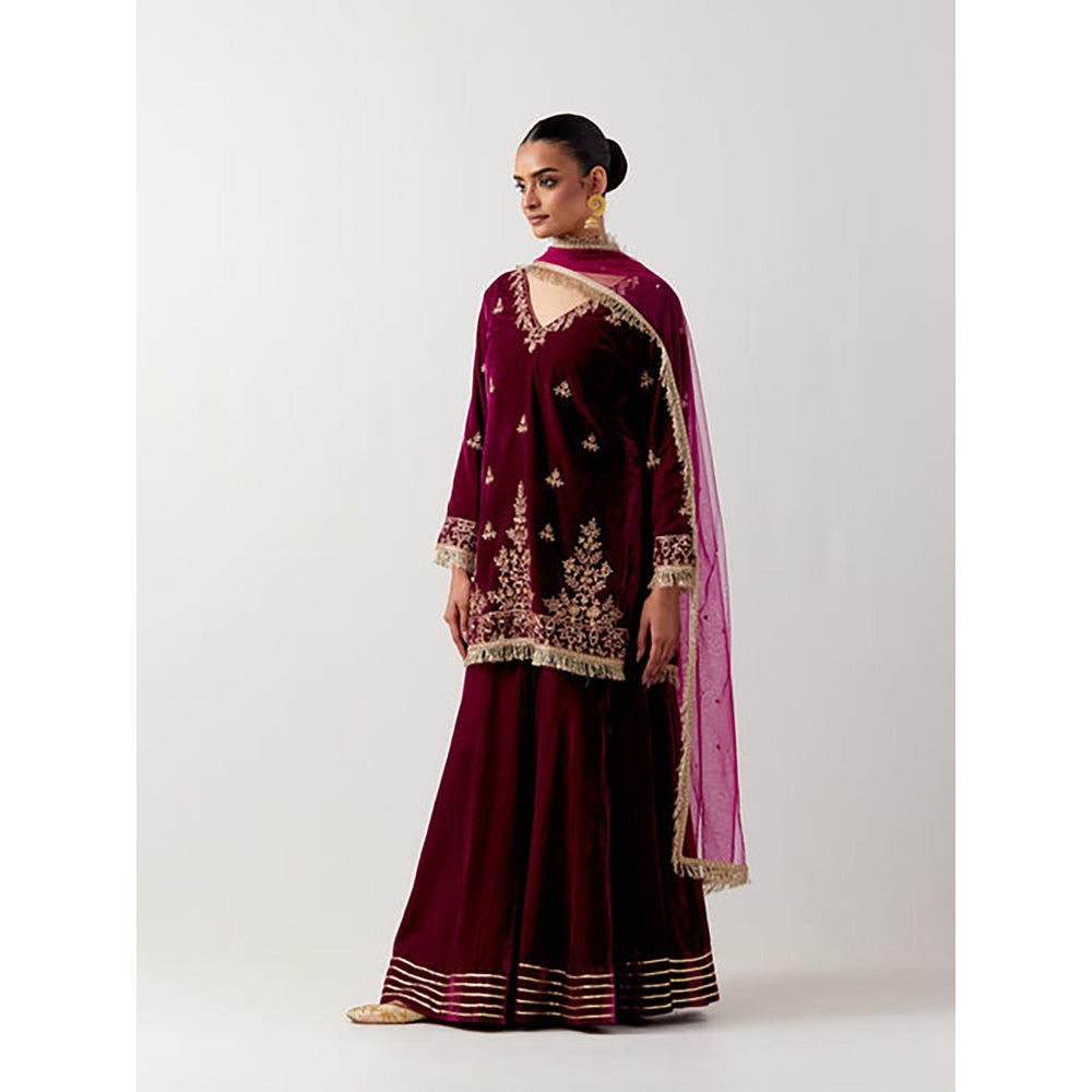 Priya Chaudhary Pink Silk Velvet Kurta With Sharara And Net Dupatta
