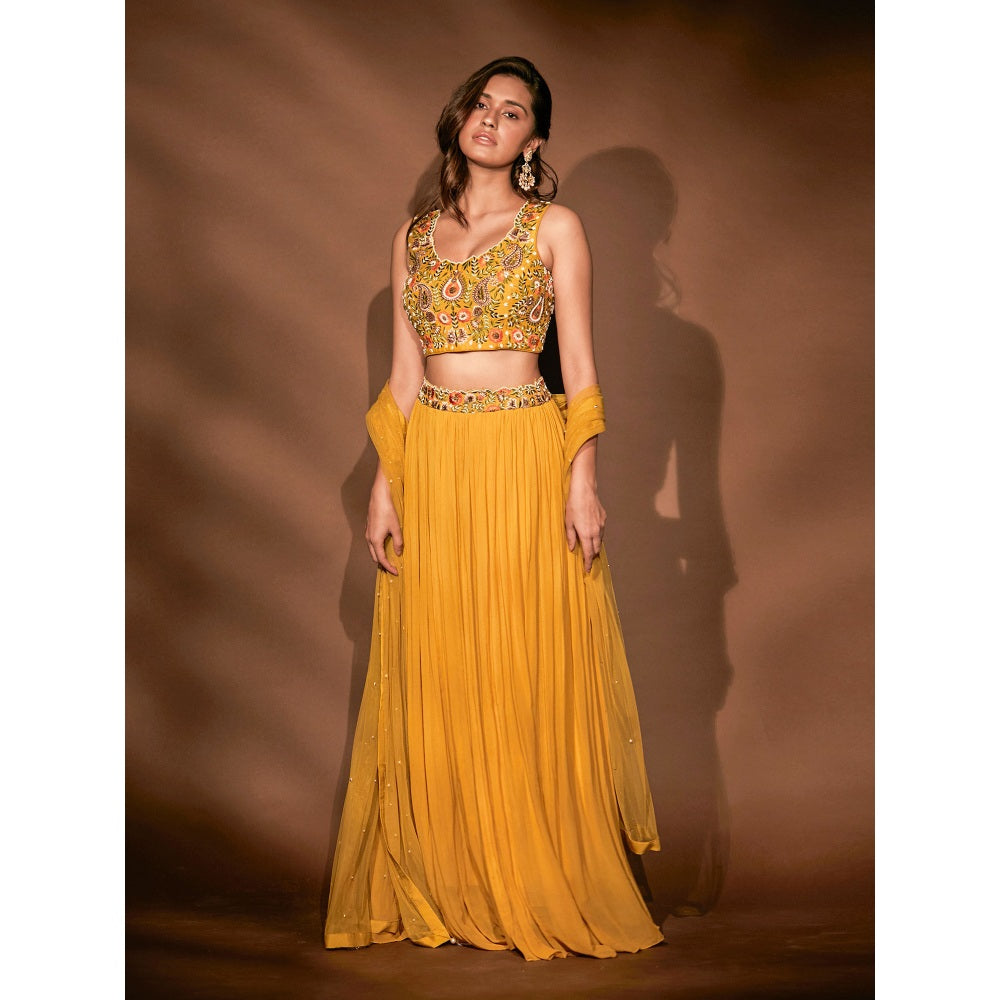 Pritika Vora Mustard Embroidered Blouse with Lehenga & Dupatta (Set of 3)