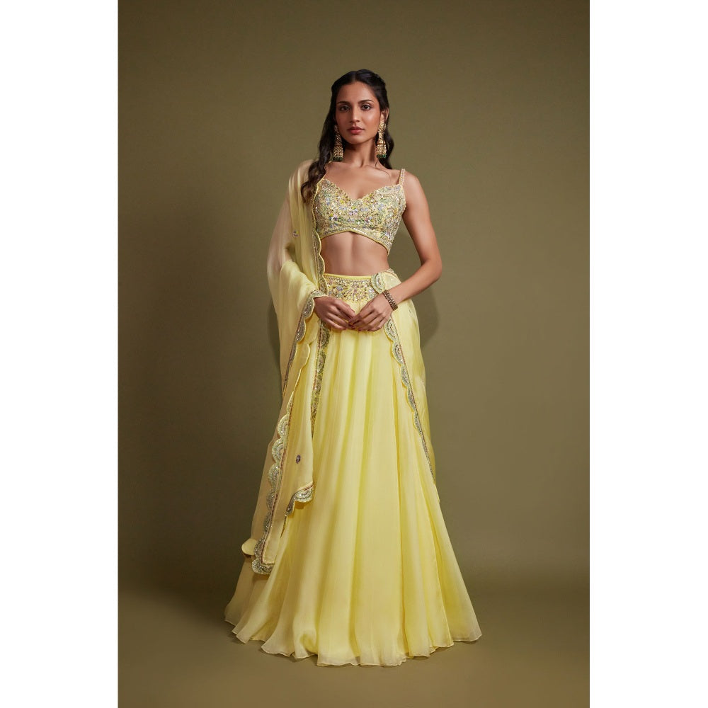 Pritika Vora Yellow Embroidered Lehenga with Blouse & Dupatta (Set of 3)