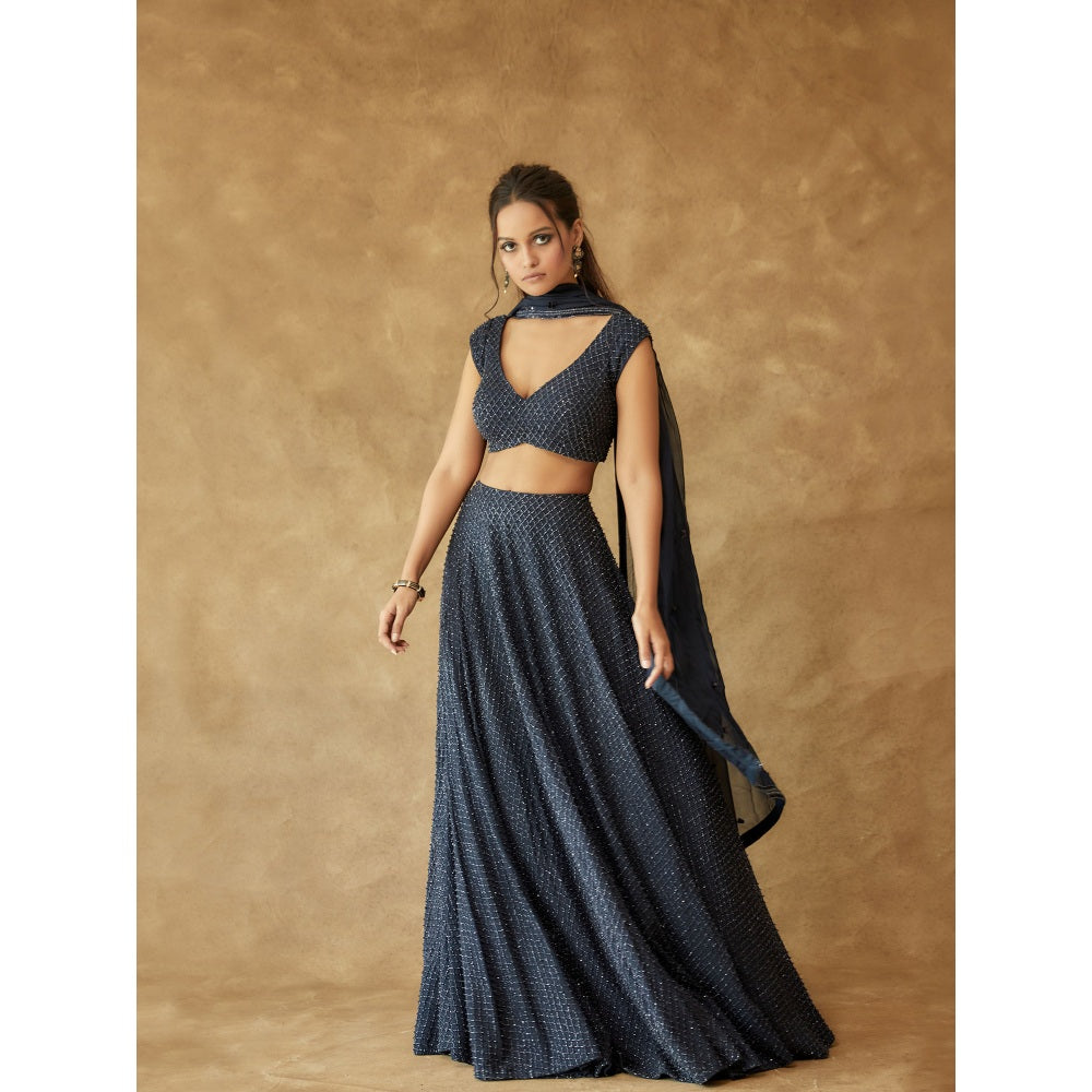 Pritika Vora Navy Blue Crystal Hand Embroidered Lehenga with Blouse & Dupatta (Set of 3)