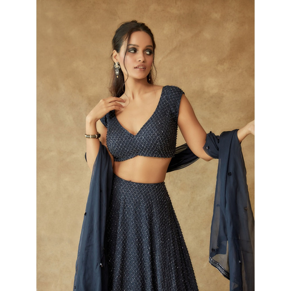 Pritika Vora Navy Blue Crystal Hand Embroidered Lehenga with Blouse & Dupatta (Set of 3)