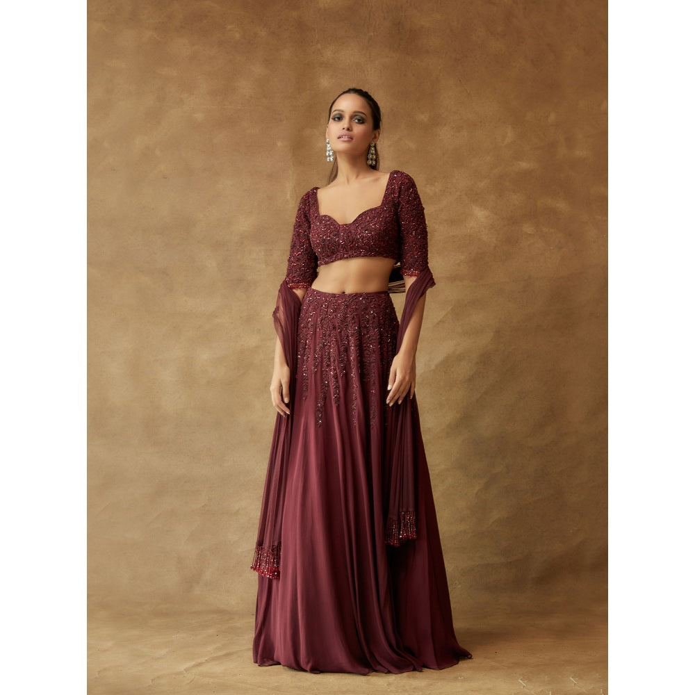 Pritika Vora Rosewood Corset Style Blouse with Lehenga & Tassel Dupatta (Set of 3)