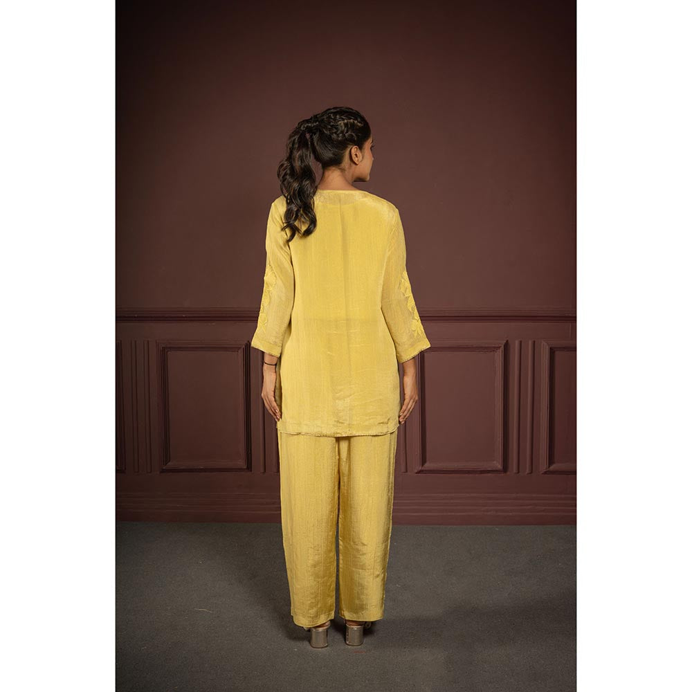 Punam Khetann Svarna Saanjh Embroidered Co-Ord Set