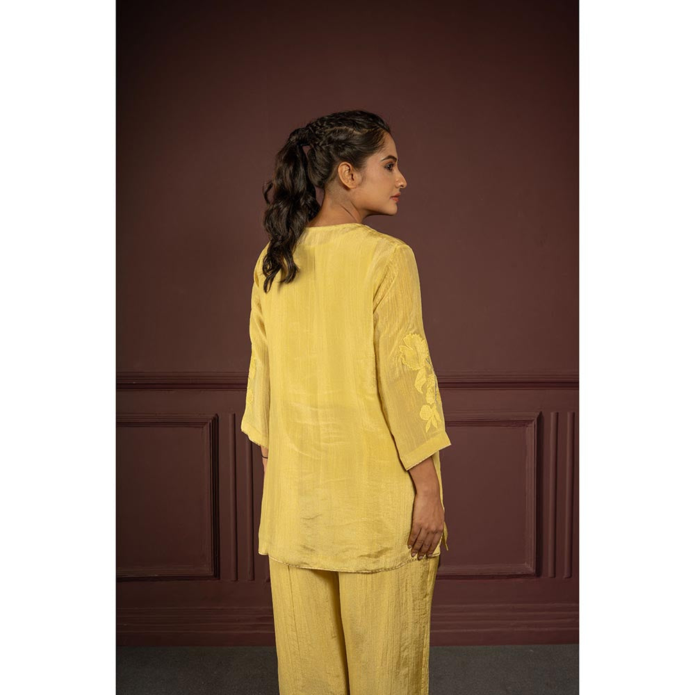 Punam Khetann Svarna Saanjh Embroidered Co-Ord Set