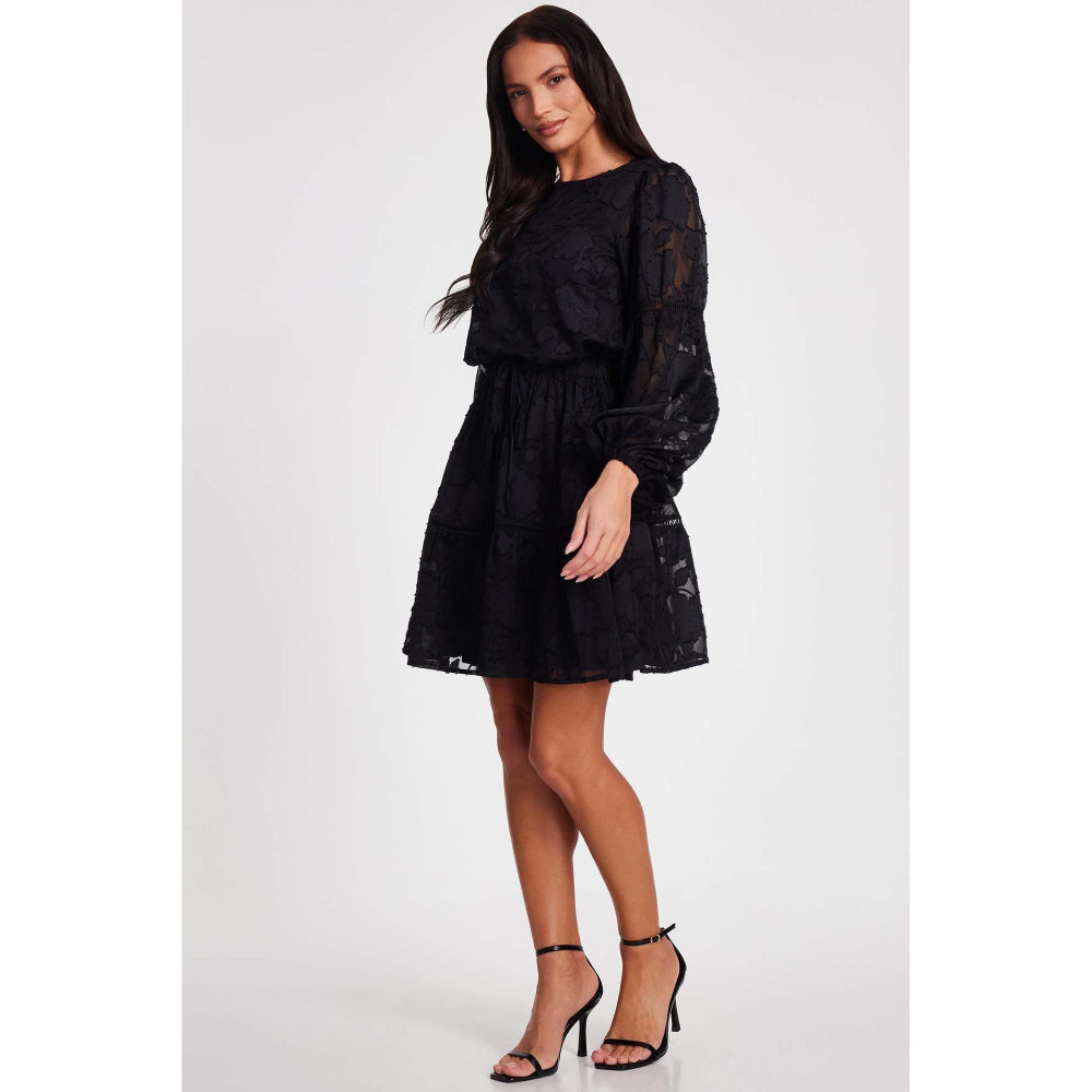 Quiz Clothing Black Women Fit and Flare Dress