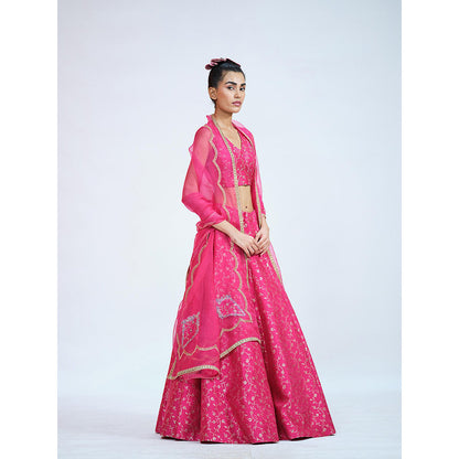 RAAG SUTRA Rani Brocade Lehenga with Blouse and Dupatta (Set of 3)