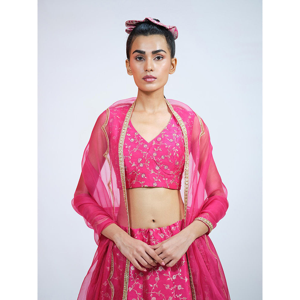 RAAG SUTRA Rani Brocade Lehenga with Blouse and Dupatta (Set of 3)