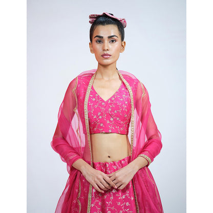 RAAG SUTRA Rani Brocade Lehenga with Blouse and Dupatta (Set of 3)