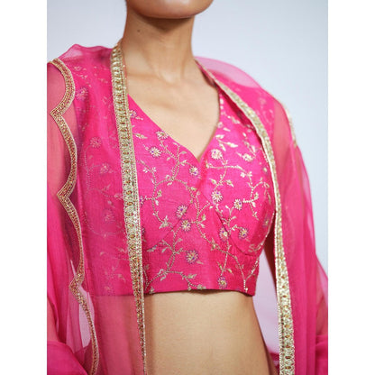 RAAG SUTRA Rani Brocade Lehenga with Blouse and Dupatta (Set of 3)