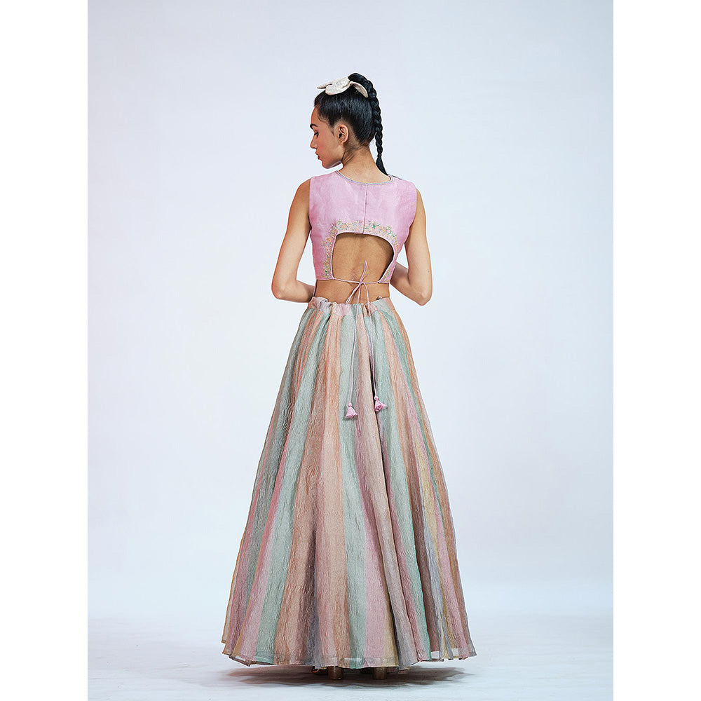 RAAG SUTRA Tissue Crop Top with Lehenga (Set of 2)