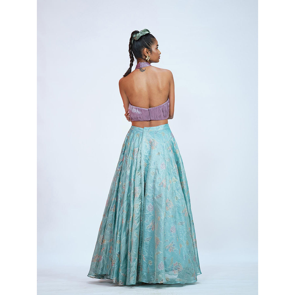 RAAG SUTRA Silk Bottle Multi-Color Crop Top with Lehenga (Set of 2)