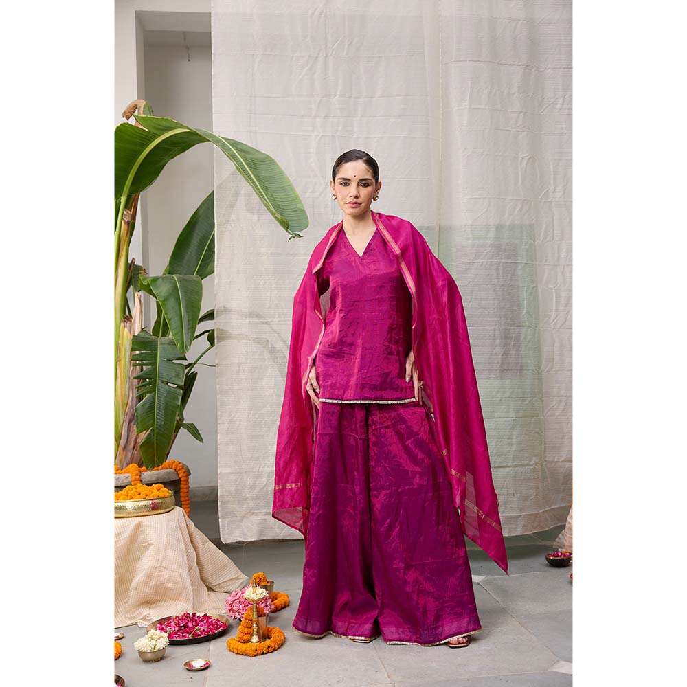 Raas Life Amala Flared Purple Palazzo