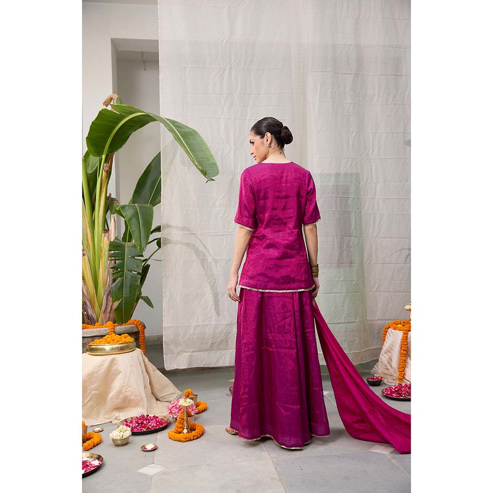 Raas Life Amala Flared Purple Palazzo