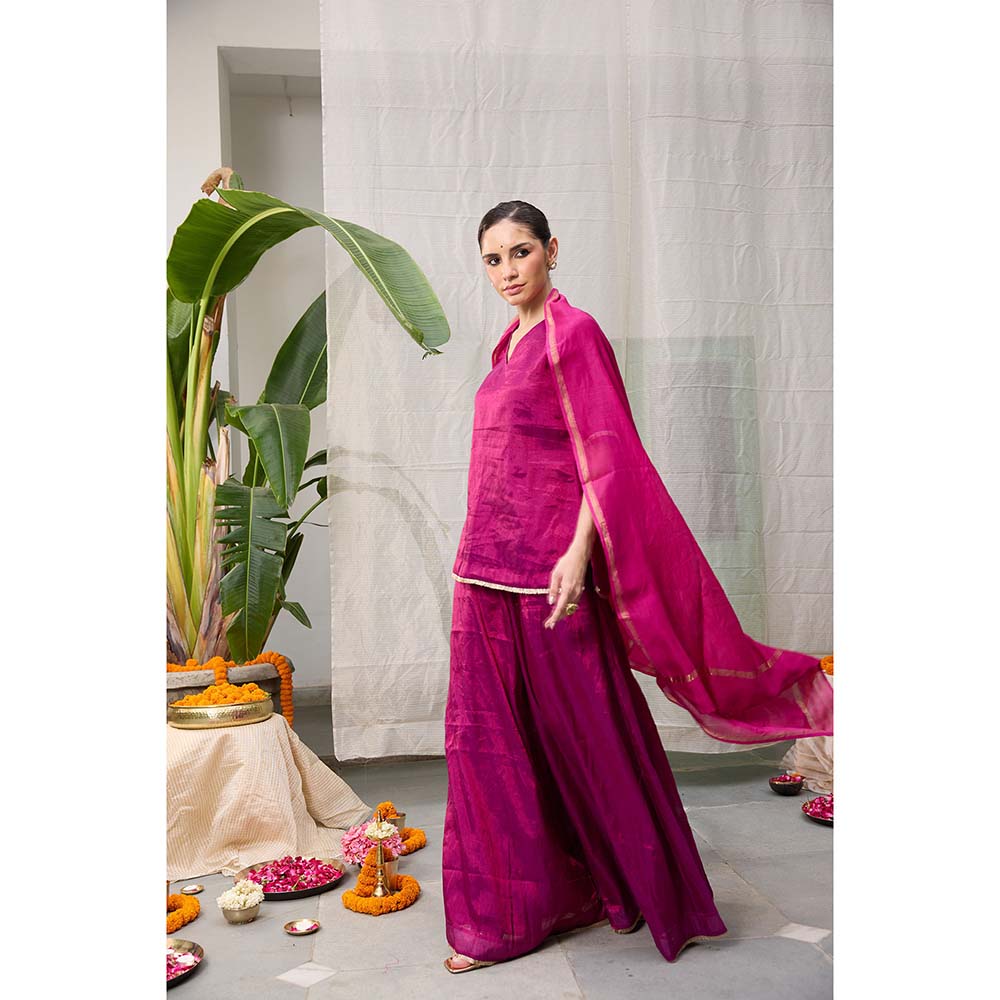 Raas Life Amala Flared Purple Palazzo