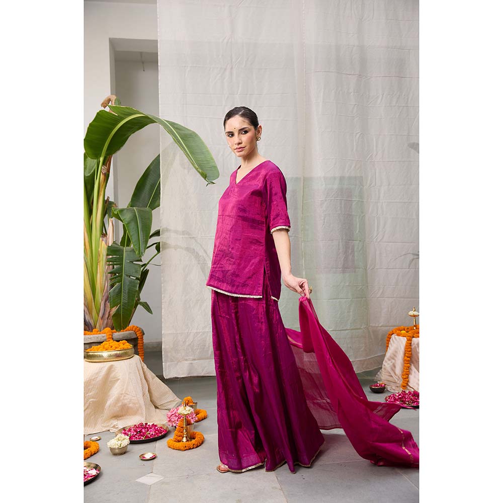 Raas Life Amala Flared Purple Palazzo