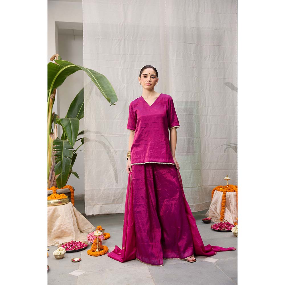 Raas Life Amala Flared Purple Palazzo