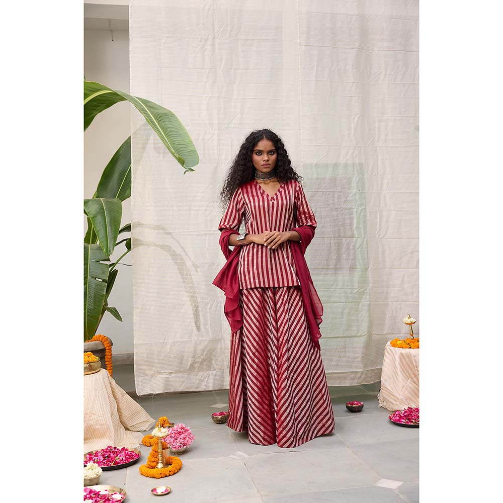 Raas Life Amala Flared Maroon Palazzo