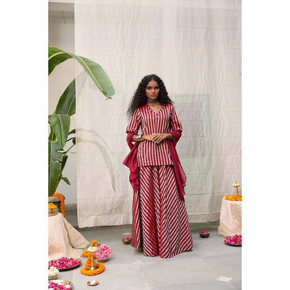 Raas Life Amala Flared Maroon Palazzo