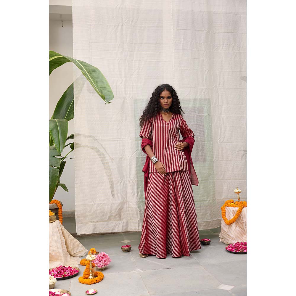 Raas Life Amala Flared Maroon Palazzo