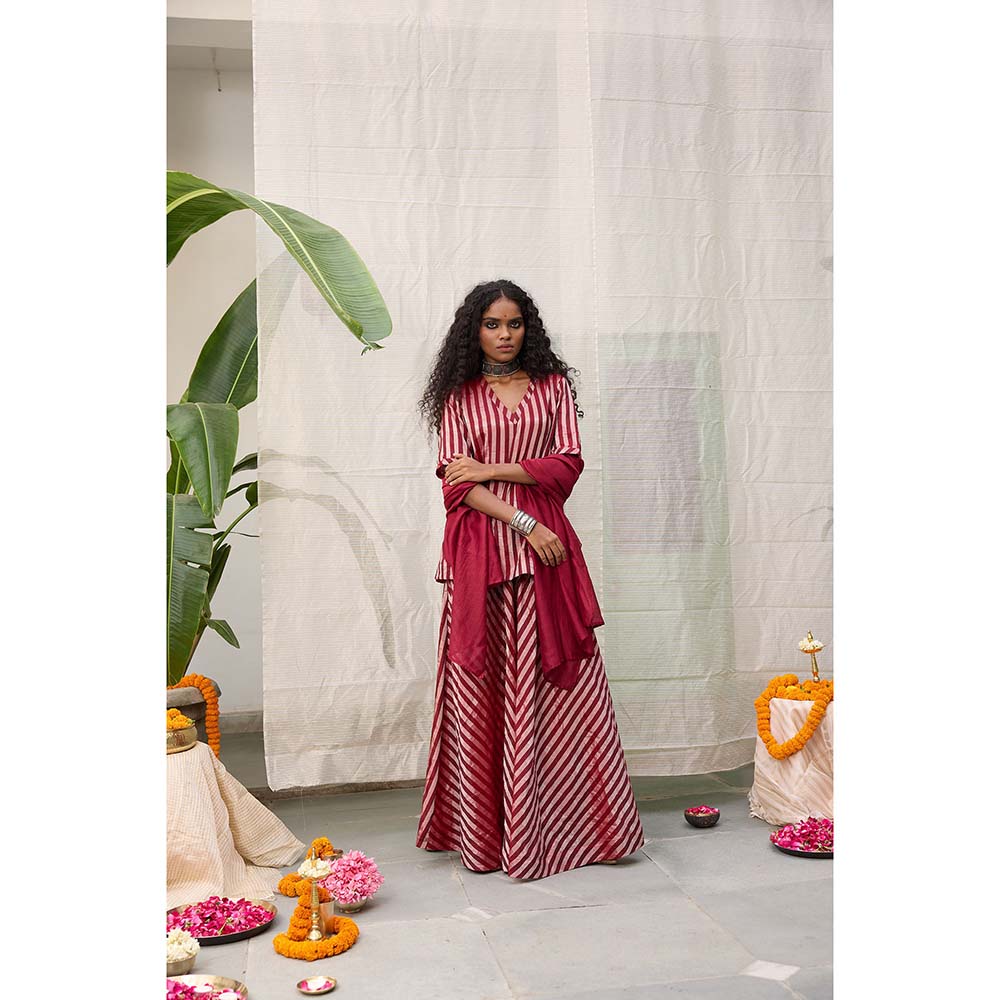 Raas Life Amala Flared Maroon Palazzo