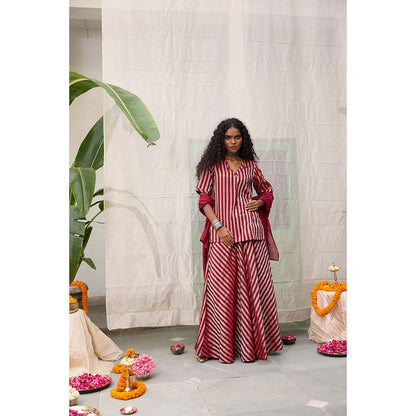 Raas Life Amala Flared Maroon Palazzo