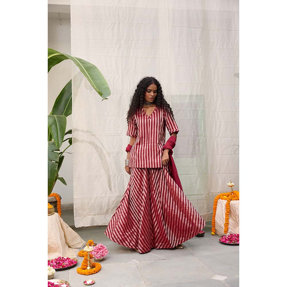 Raas Life Amala Flared Maroon Palazzo