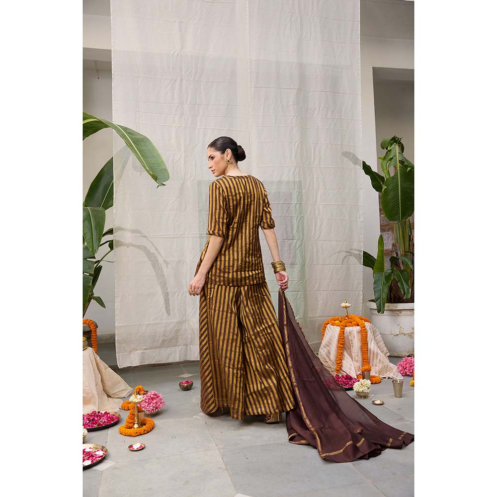Raas Life Amala Flared Brown Palazzo