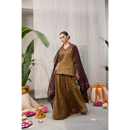 Raas Life Amala Flared Brown Palazzo