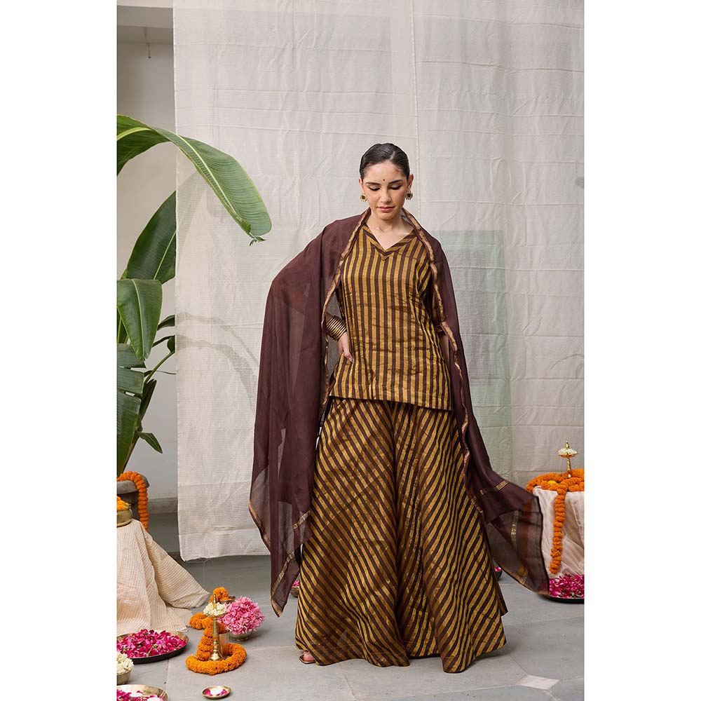 Raas Life Amala Flared Brown Palazzo