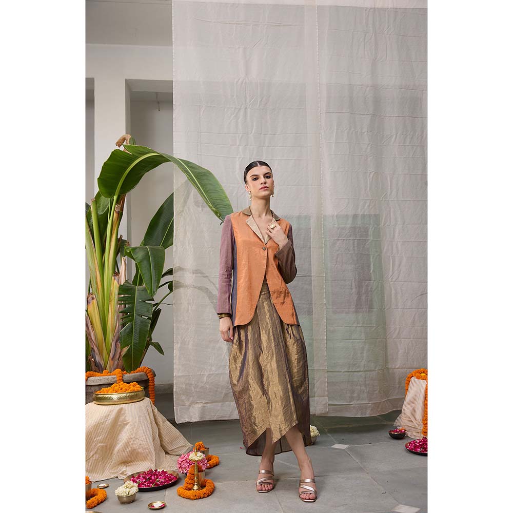 Raas Life Mrunal Zari Chanderi Colorblock Blazer with Skirt (Set of 2)