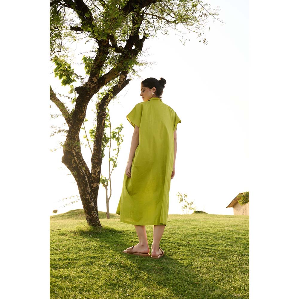 Raas Life Green Chamomile Solid Dress