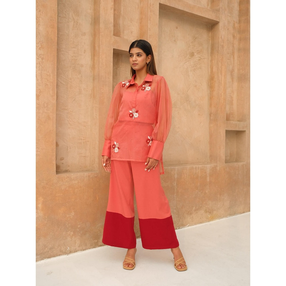 Rabnoor K Sethi Coral Organza Embroidered Co-Ord (Set of 2)