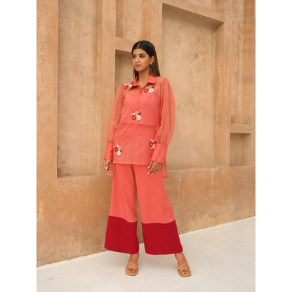 Rabnoor K Sethi Coral Organza Embroidered Co-Ord (Set of 2)