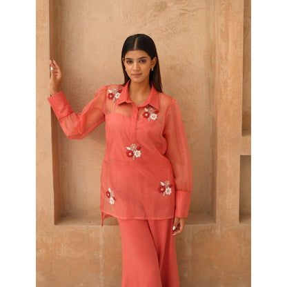 Rabnoor K Sethi Coral Organza Embroidered Co-Ord (Set of 2)
